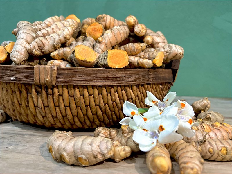Raiz e cúrcuma em pó para uso culinário