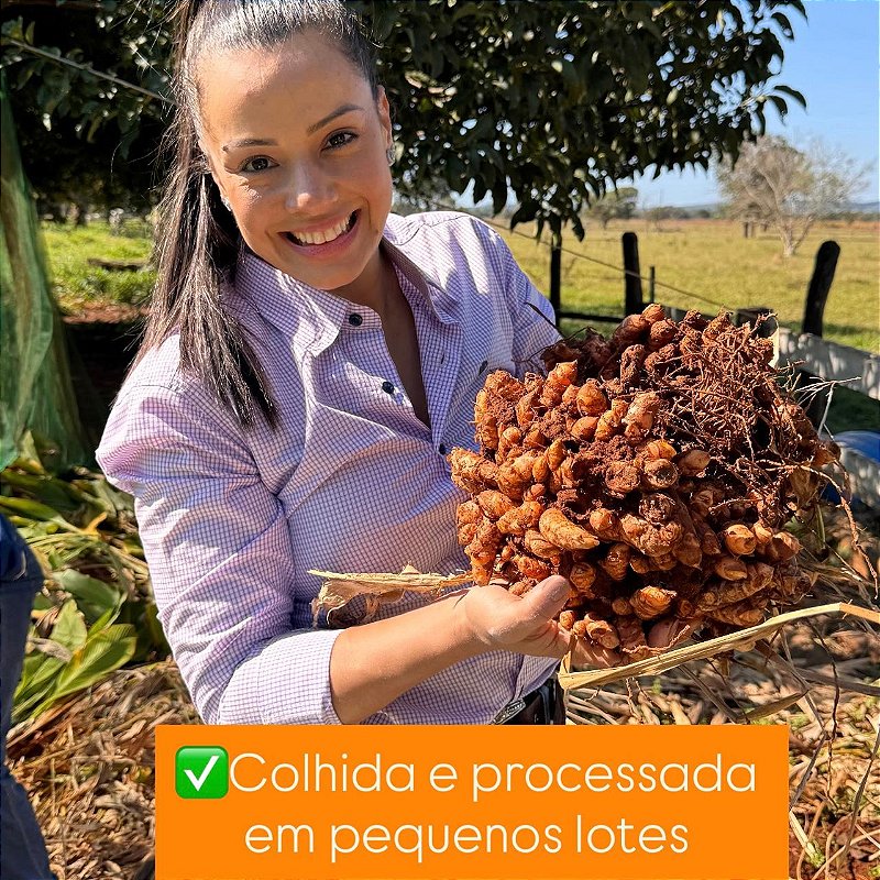 Cúrcuma Pura de Origem em Pó 100g - Fazenda Soul Leve