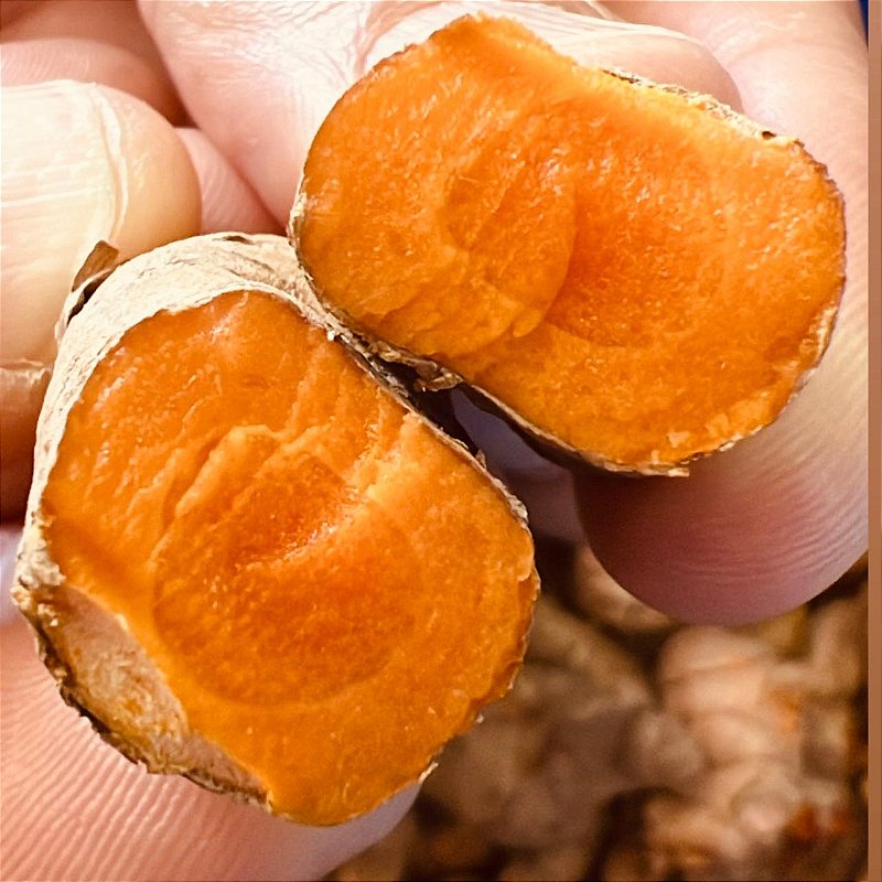 Cúrcuma Pura de Origem em Capsula com TCM + Pimenta Preta