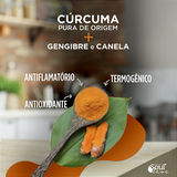 Shot Cúrcuma+ Manhã - Com gengibre e canela (100g)- Fazenda Soul Leve.