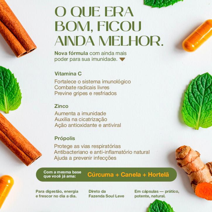 Shot em Cápsulas Cúrcuma+ Manhã com Cúrcuma, Canela e Hortelã 60 cápsulas Fazenda Soul Leve - imagem 10