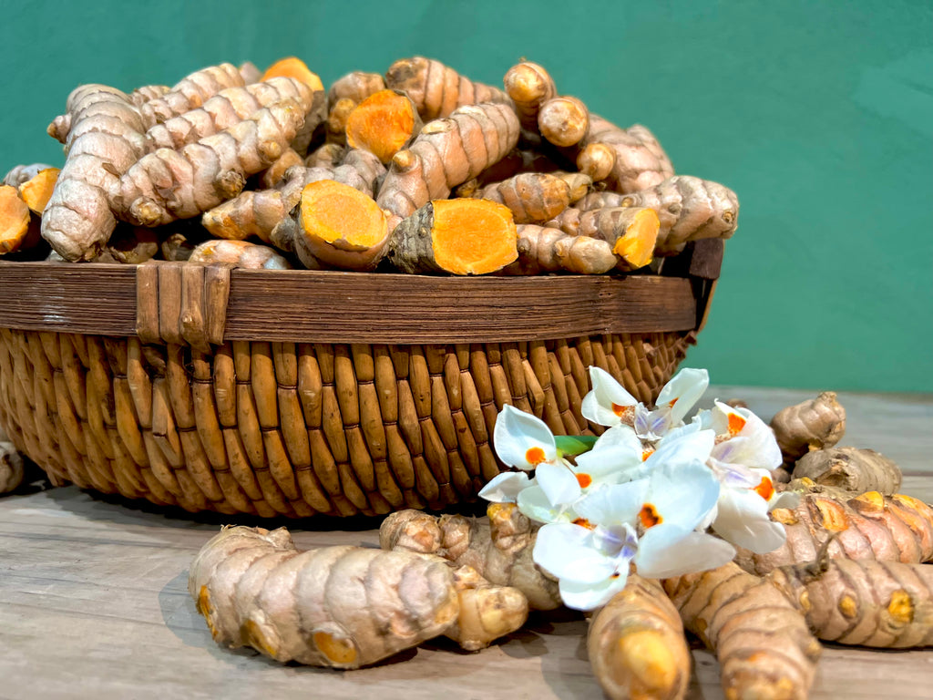 RIZOMAS FRESCOS DE CÚRCUMA LONGA 200G