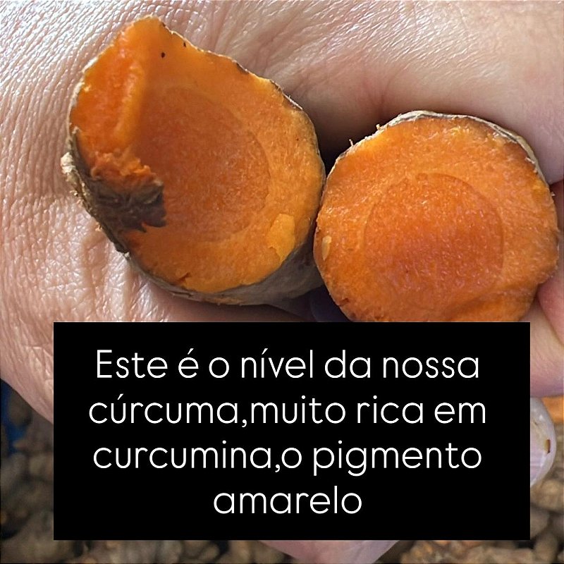 Cúrcuma Pura de Origem em Capsula com TCM + Pimenta Preta
