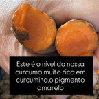 Cúrcuma Pura de Origem em Pó 100 g Fazenda Soul Leve - imagem 14