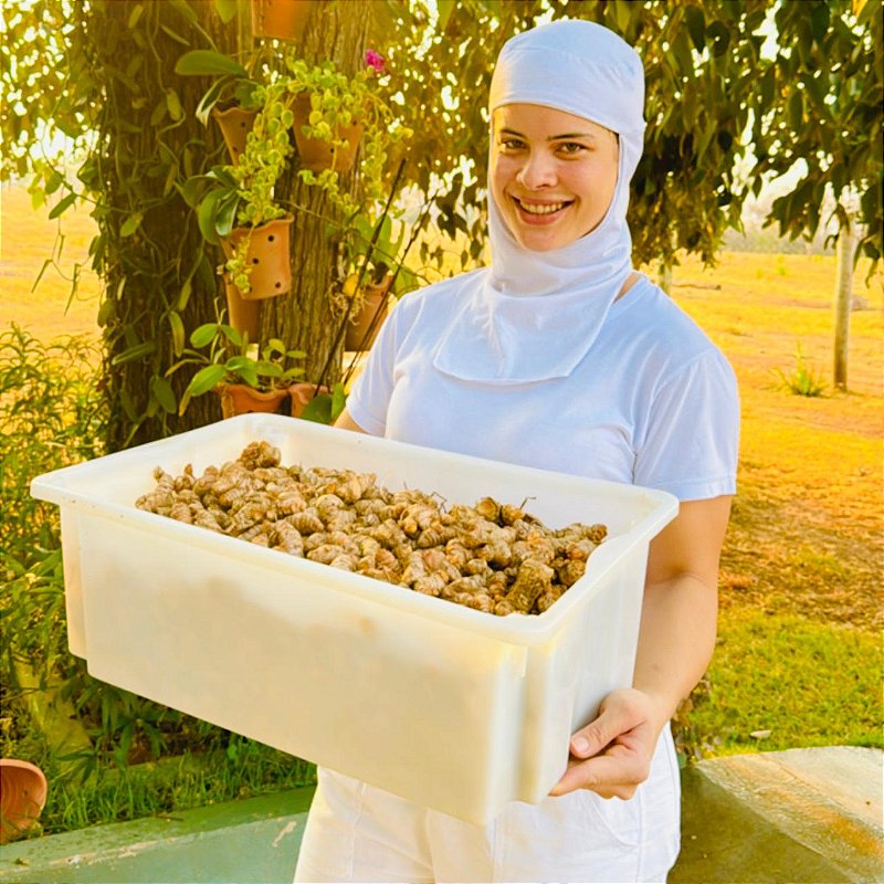 Cúrcuma Pura de Origem em Pó 100g - Fazenda Soul Leve